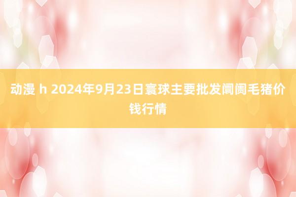 动漫 h 2024年9月23日寰球主要批发阛阓毛猪价钱行情