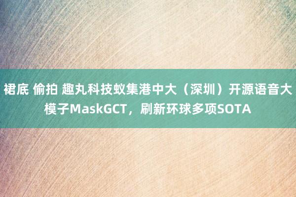 裙底 偷拍 趣丸科技蚁集港中大(深圳)开源语音大模子MaskGCT,刷新环球多项SOTA