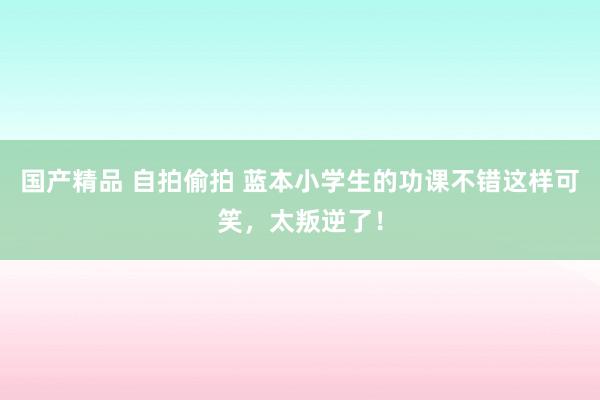国产精品 自拍偷拍 蓝本小学生的功课不错这样可笑，太叛逆了！