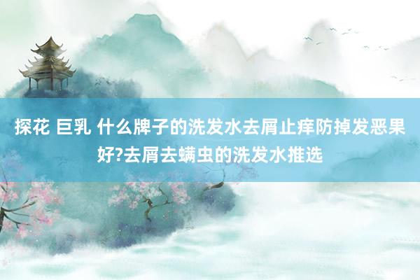 探花 巨乳 什么牌子的洗发水去屑止痒防掉发恶果好?去屑去螨虫的洗发水推选