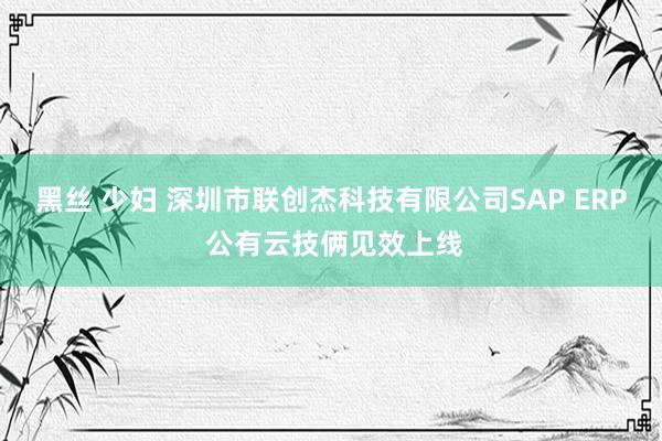 黑丝 少妇 深圳市联创杰科技有限公司SAP ERP 公有云技俩见效上线