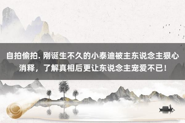 自拍偷拍. 刚诞生不久的小泰迪被主东说念主狠心消释，了解真相后更让东说念主宠爱不已！