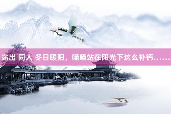 露出 同人 冬日暖阳，喵喵站在阳光下这么补钙……