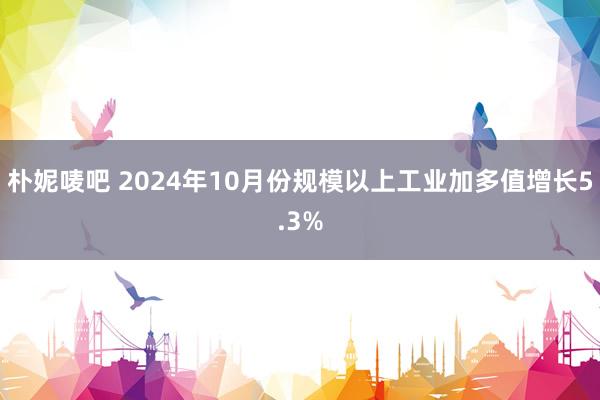 朴妮唛吧 2024年10月份规模以上工业加多值增长5.3%