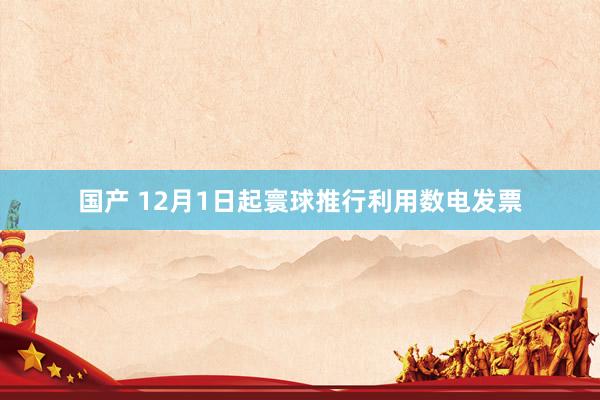 国产 12月1日起寰球推行利用数电发票