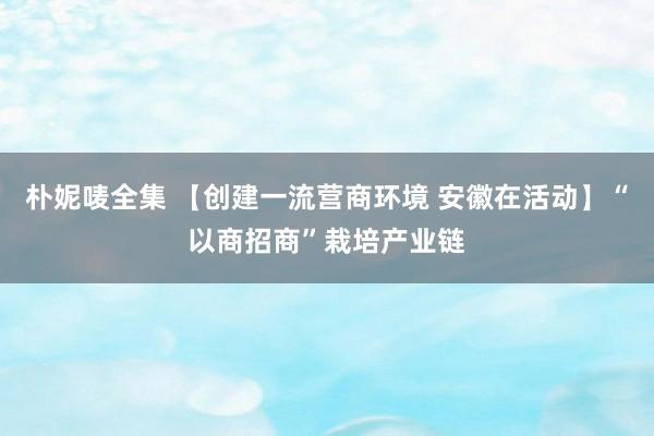 朴妮唛全集 【创建一流营商环境 安徽在活动】“以商招商”栽培产业链