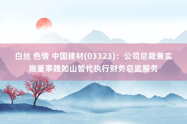 白丝 色情 中国建材(03323)：公司总裁兼实施董事魏如山暂代执行财务总监服务