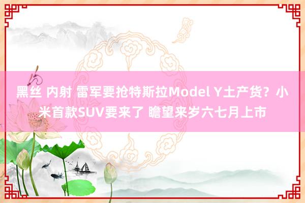 黑丝 内射 雷军要抢特斯拉Model Y土产货？小米首款SUV要来了 瞻望来岁六七月上市