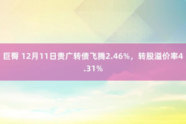 巨臀 12月11日贵广转债飞腾2.46%，转股溢价率4.31%