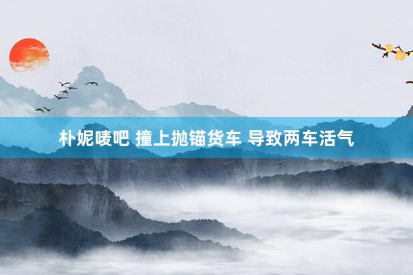 朴妮唛吧 撞上抛锚货车 导致两车活气