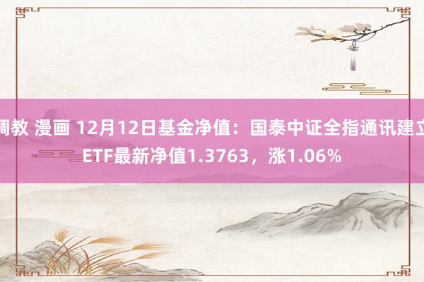 调教 漫画 12月12日基金净值：国泰中证全指通讯建立ETF最新净值1.3763，涨1.06%