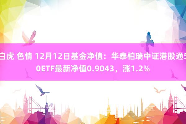 白虎 色情 12月12日基金净值：华泰柏瑞中证港股通50ETF最新净值0.9043，涨1.2%