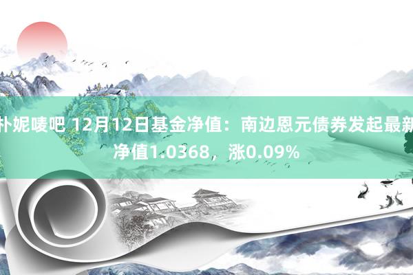 朴妮唛吧 12月12日基金净值：南边恩元债券发起最新净值1.0368，涨0.09%