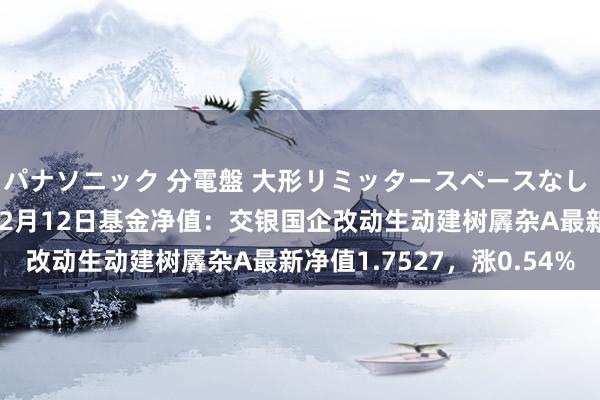 パナソニック 分電盤 大形リミッタースペースなし 露出・半埋込両用形 12月12日基金净值：交银国企改动生动建树羼杂A最新净值1.7527，涨0.54%