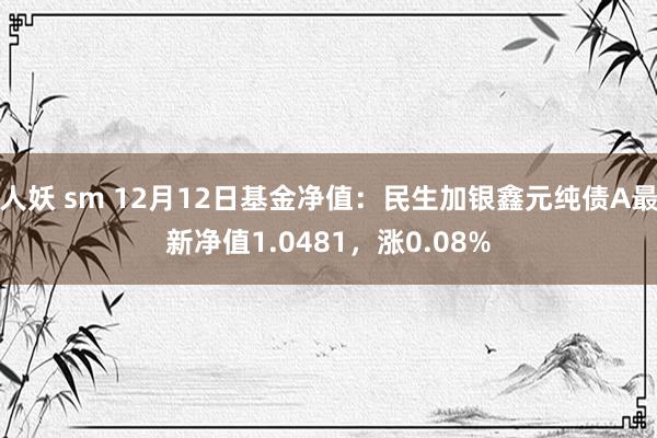 人妖 sm 12月12日基金净值：民生加银鑫元纯债A最新净值1.0481，涨0.08%