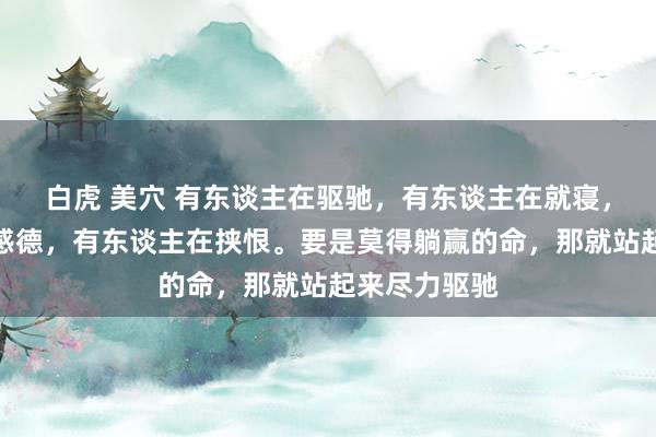 白虎 美穴 有东谈主在驱驰，有东谈主在就寝，有东谈主在感德，有东谈主在挟恨。要是莫得躺赢的命，那就站起来尽力驱驰