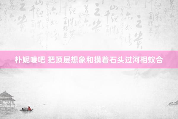朴妮唛吧 把顶层想象和摸着石头过河相蚁合