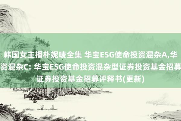 韩国女主播朴妮唛全集 华宝ESG使命投资混杂A,华宝ESG使命投资混杂C: 华宝ESG使命投资混杂型证券投资基金招募评释书(更新)
