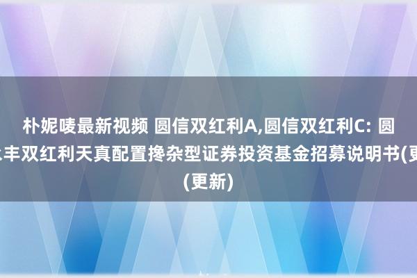 朴妮唛最新视频 圆信双红利A,圆信双红利C: 圆信永丰双红利天真配置搀杂型证券投资基金招募说明书(更新)