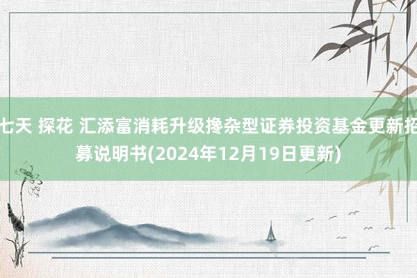 七天 探花 汇添富消耗升级搀杂型证券投资基金更新招募说明书(2024年12月19日更新)