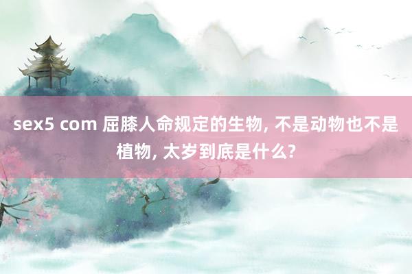 sex5 com 屈膝人命规定的生物， 不是动物也不是植物， 太岁到底是什么?