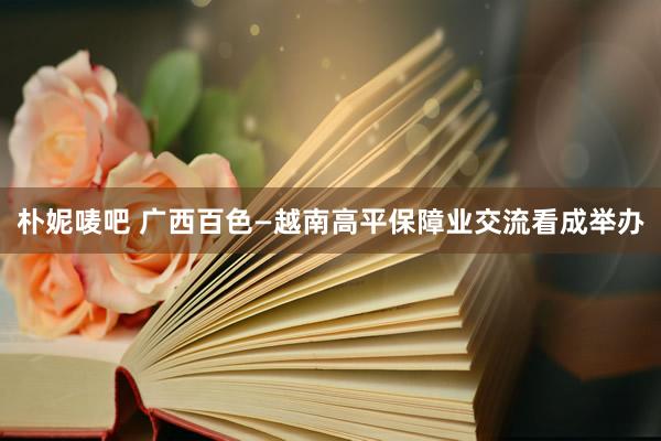 朴妮唛吧 广西百色—越南高平保障业交流看成举办