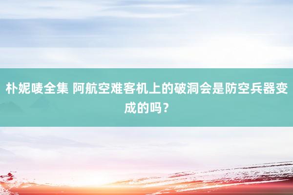 朴妮唛全集 阿航空难客机上的破洞会是防空兵器变成的吗？