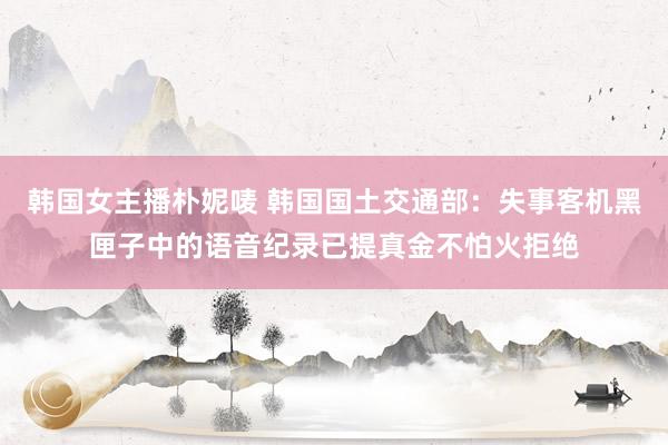 韩国女主播朴妮唛 韩国国土交通部：失事客机黑匣子中的语音纪录已提真金不怕火拒绝