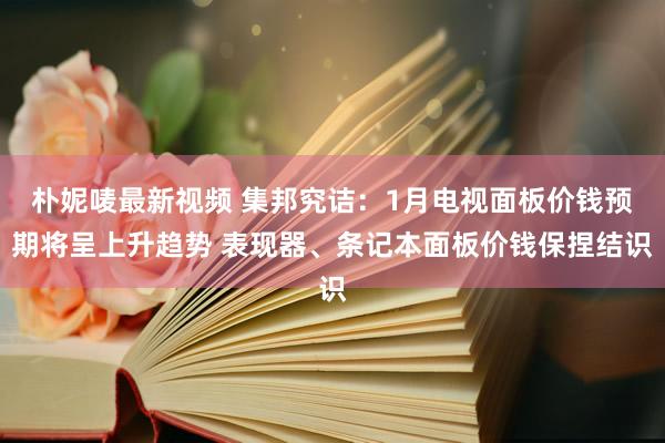 朴妮唛最新视频 集邦究诘：1月电视面板价钱预期将呈上升趋势 表现器、条记本面板价钱保捏结识