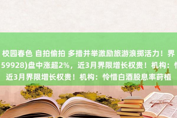 校园春色 自拍偷拍 多措并举激励旅游浪掷活力！界限最大的浪掷ETF(159928)盘中涨超2%，近3月界限增长权贵！机构：怜惜白酒股息率莳植