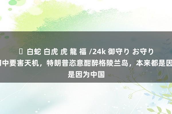 ✨白蛇 白虎 虎 龍 福 /24k 御守り お守り 俄方切中要害天机，特朗普恣意酣醉格陵兰岛，本来都是因为中国