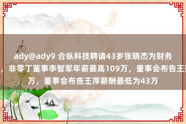 ady@ady9 合纵科技聘请43岁张晓杰为财务总监及非零丁董事，非零丁董事李智军年薪最高109万，董事会布告王萍薪酬最低为43万