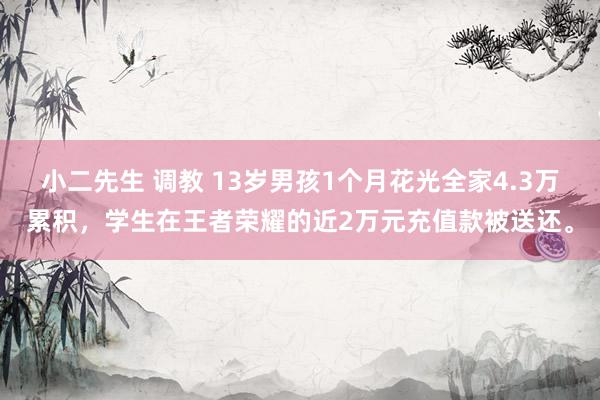 小二先生 调教 13岁男孩1个月花光全家4.3万累积，学生在王者荣耀的近2万元充值款被送还。