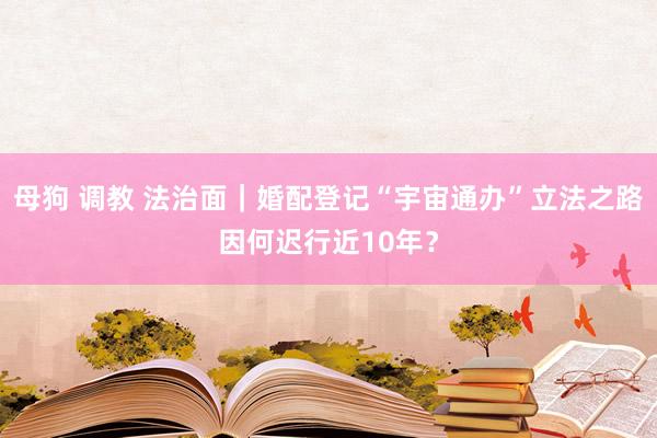 母狗 调教 法治面｜婚配登记“宇宙通办”立法之路因何迟行近10年？