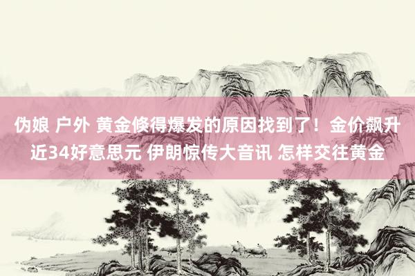 伪娘 户外 黄金倏得爆发的原因找到了！金价飙升近34好意思元 伊朗惊传大音讯 怎样交往黄金