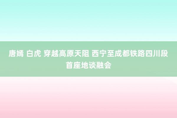 唐嫣 白虎 穿越高原天阻 西宁至成都铁路四川段首座地谈融会