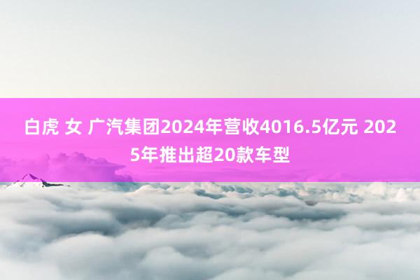 白虎 女 广汽集团2024年营收4016.5亿元 2025年推出超20款车型