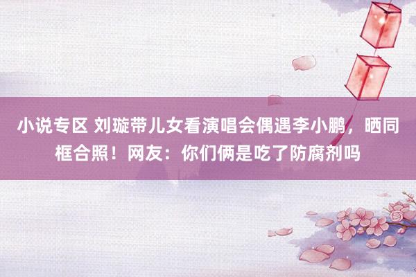 小说专区 刘璇带儿女看演唱会偶遇李小鹏，晒同框合照！网友：你们俩是吃了防腐剂吗